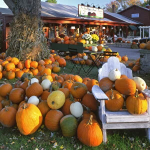 USA, New England, Maine, Wells. Autumn display of pumpkins at store. Credit as: Steve
