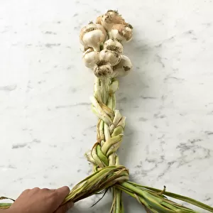 Making garlic plait