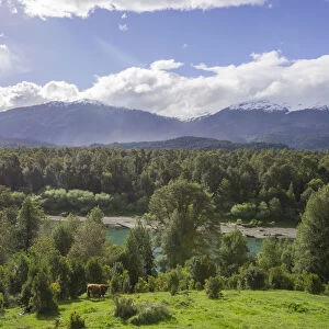 Agricultural land, forest and river, Cisnes, Region de Aysen, Chile