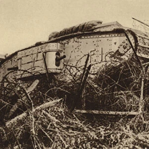 British tank attempting to break through a barbed wire obstacle, World War I, 1917-1918 (b / w photo)