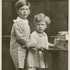 The sons of Mary, Princess Royal, Viscountess Lascelles (b / w photo)