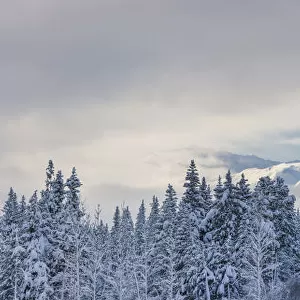 Clouds Clearing Over Seward Highway From The Kenai Mountains Above Turnagain Pass After A Winter Snow Storm, Fresh Snow In The Trees, Early Morning Sun, Turnagain Pass, Chugach National Forest, Southcentral Alaska, Usa