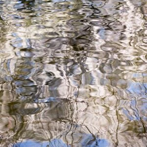 Reflection In Rippled Water