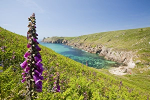 Cornish coastal scenery at Polgigga near Lands End, Cornwall, UK Cornish coastal scenery at Polgigga near Lands End, Cornwall, UK