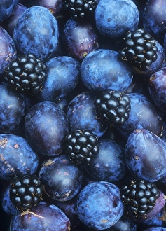 Damsons and blackberries Damsons and blackberries