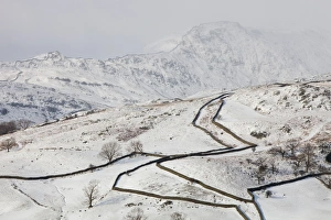 Drystone walls on Red Screes in the Lake District UK in the snow Drystone walls on Red Screes in the Lake District UK in the snow