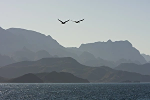 Las Gigantas mountain range from the Gulf of California (Sea of Cortez) Las Gigantas mountain range from the Gulf of California (Sea of Cortez)