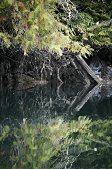 Rocky shoreline with forest reflected in the calm waters of Reid Passage in British Rocky shoreline with forest reflected in the calm waters of Reid Passage in British